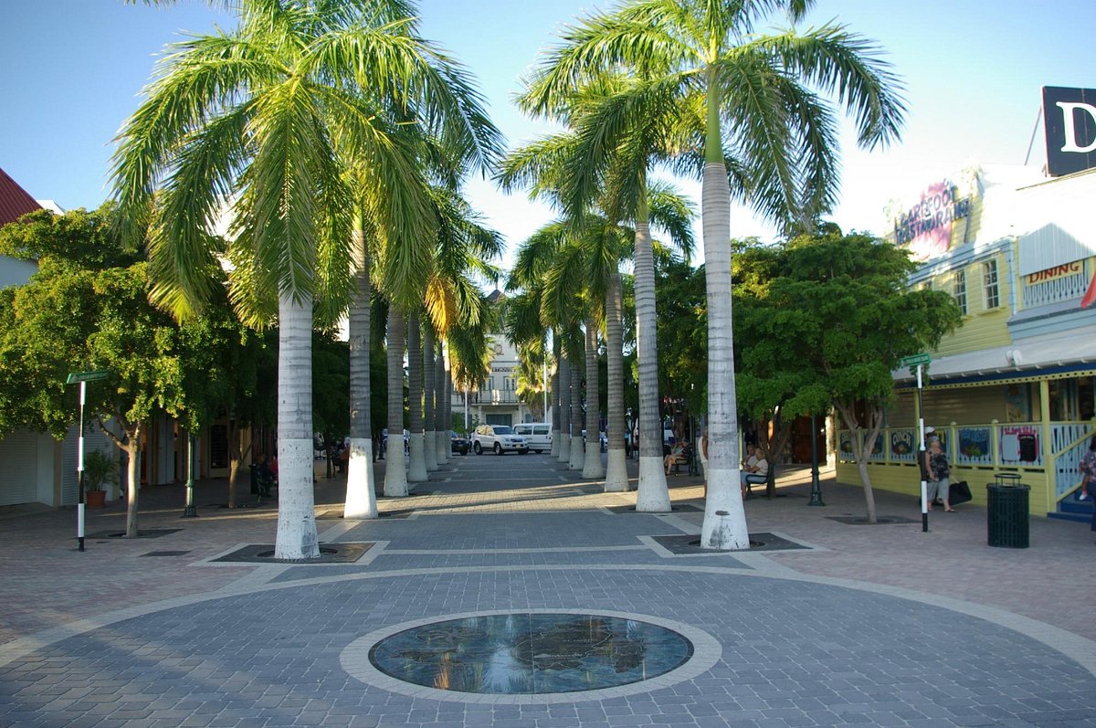 Palm trees in Cyrus Wathey Square Sint Maarten
